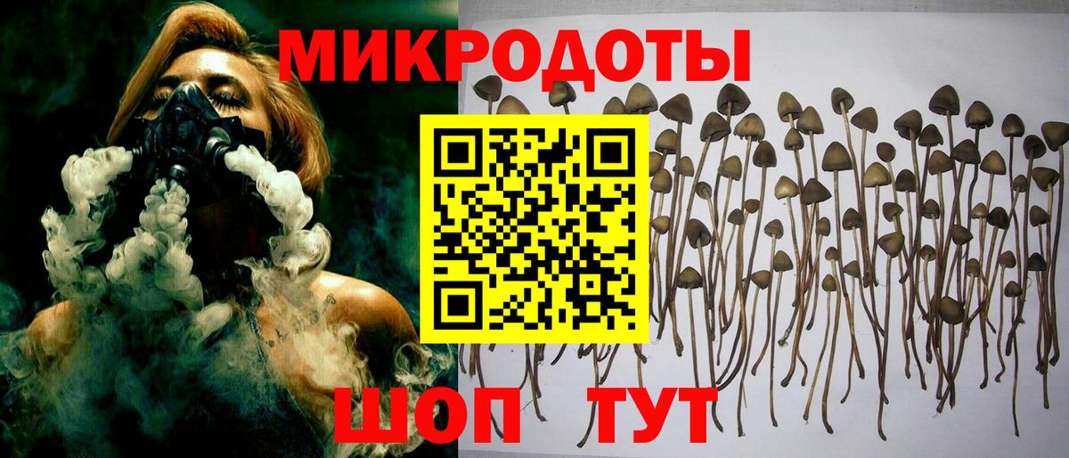 Галлюциногенные грибы мицелий  Вход с VPN  Ярцево 